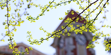 老哥俱乐部-老哥必备的交流社区