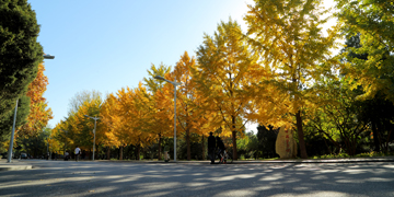 老哥俱乐部-老哥必备的交流社区