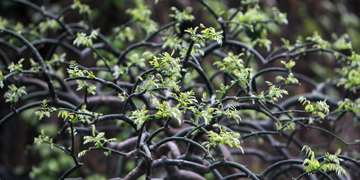 老哥俱乐部-老哥必备的交流社区