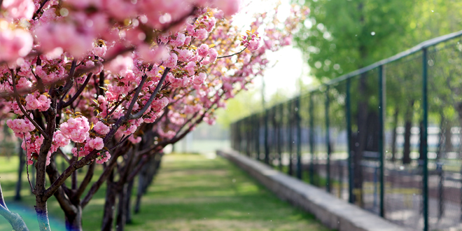 老哥俱乐部-老哥必备的交流社区