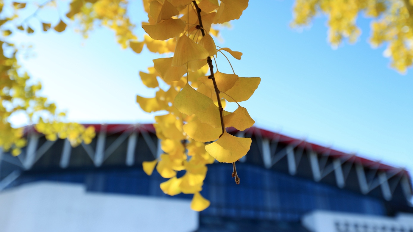 老哥俱乐部-老哥必备的交流社区