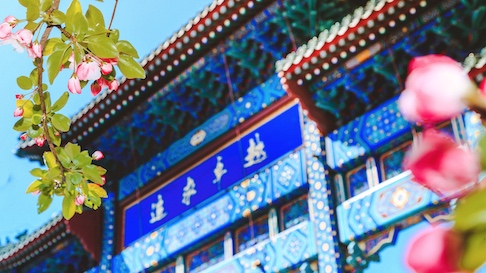 老哥俱乐部-老哥必备的交流社区