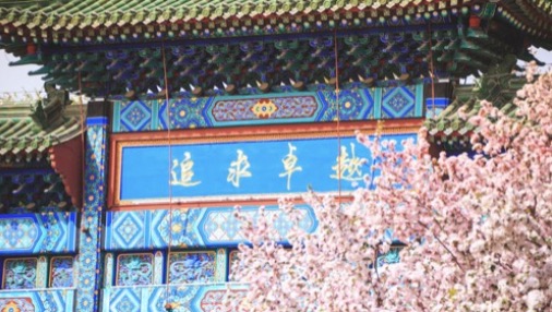 老哥俱乐部-老哥必备的互换社区