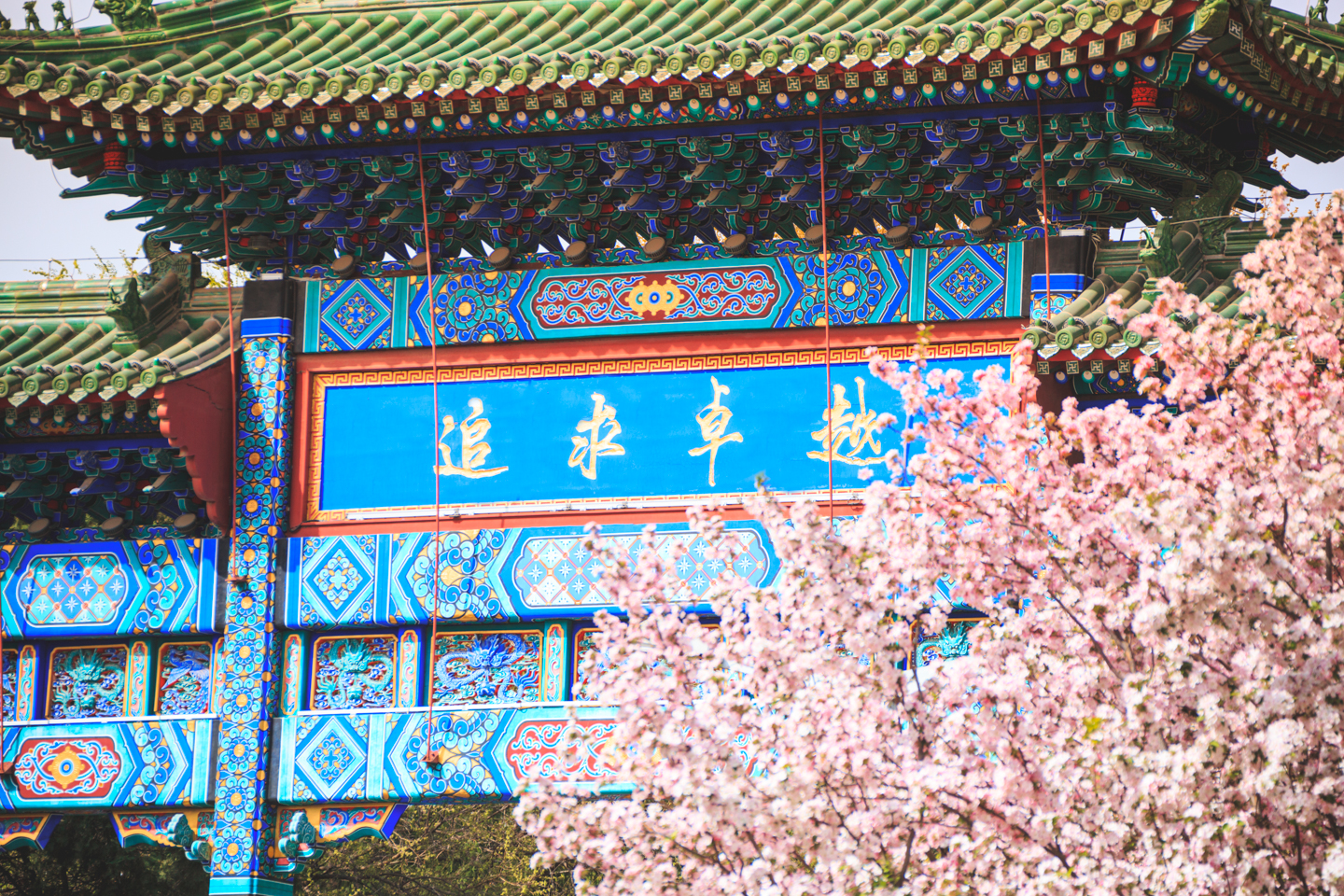 老哥俱乐部-老哥必备的互换社区