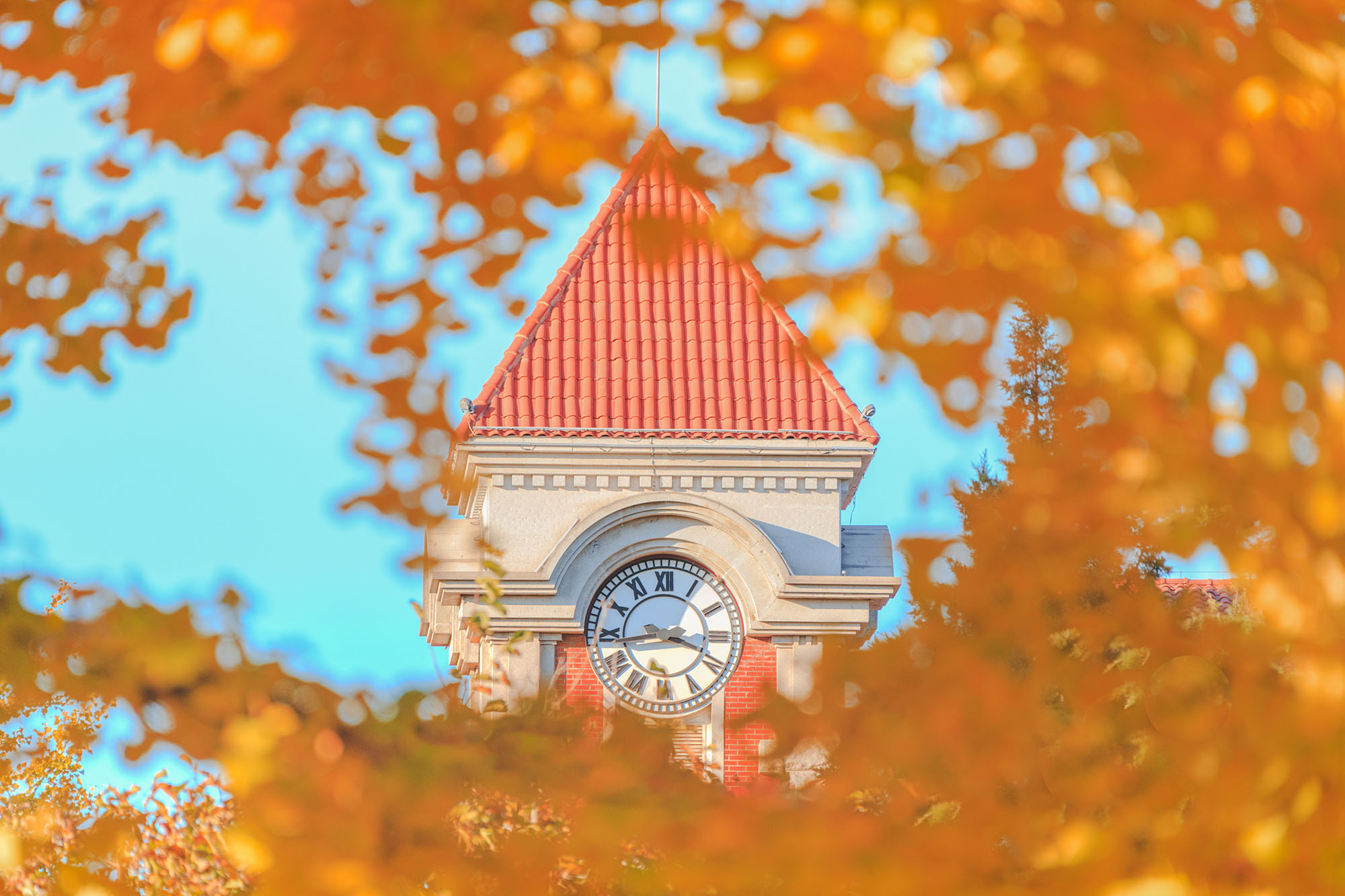 老哥俱乐部-老哥必备的互换社区