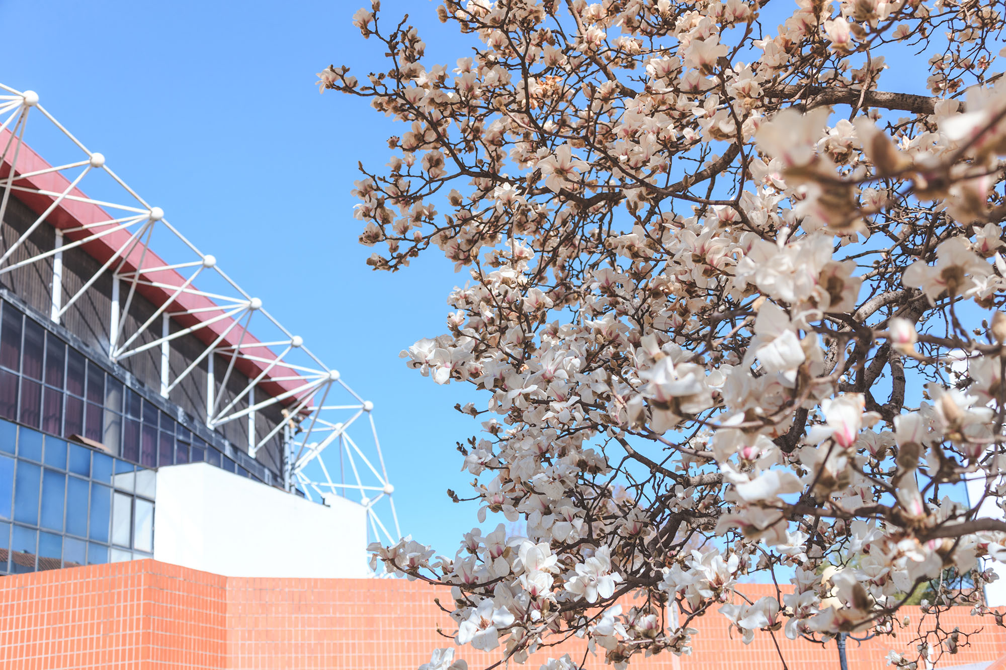 老哥俱乐部-老哥必备的互换社区